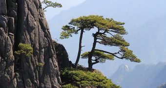 Trains between Huangshan and major cities in China