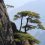 Trains between Huangshan and major cities in China